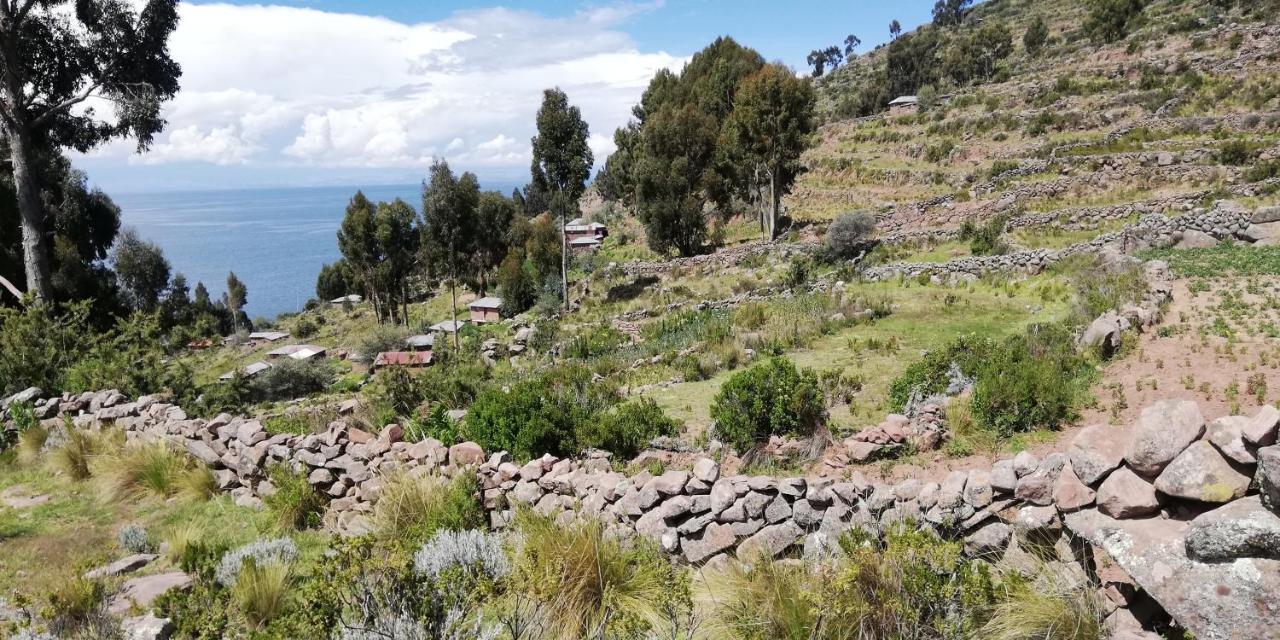 Taquile Hospedaje Mario Huillanopampa Exteriér fotografie