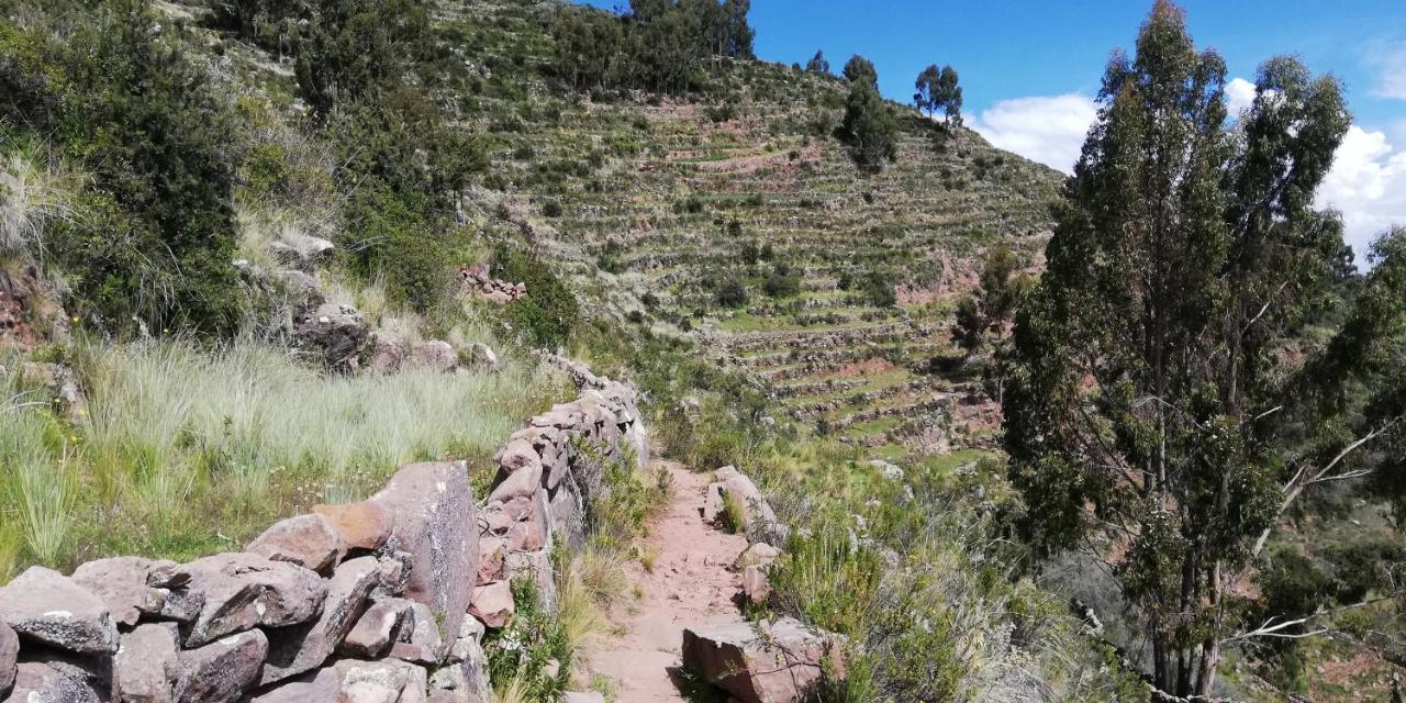 Taquile Hospedaje Mario Huillanopampa Exteriér fotografie