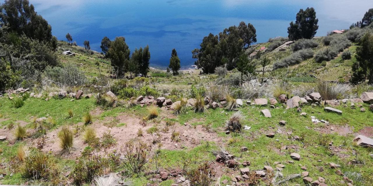 Taquile Hospedaje Mario Huillanopampa Exteriér fotografie