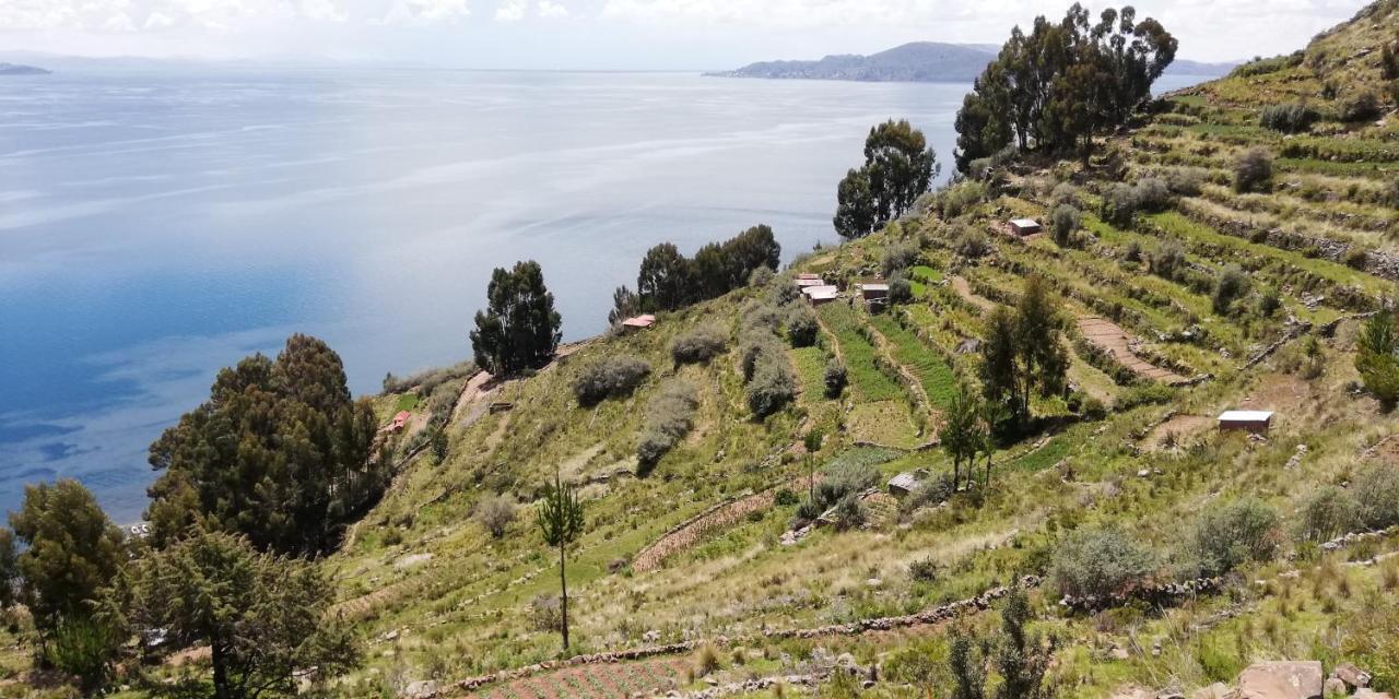 Taquile Hospedaje Mario Huillanopampa Exteriér fotografie