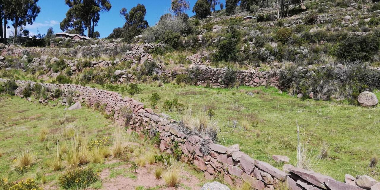 Taquile Hospedaje Mario Huillanopampa Exteriér fotografie